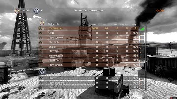 MW2 PC w/ mods & custom servers (v2)