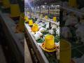 BANTU MARKETING AYAM UMUR 40 HARI BB 30 32 KOSONG KANDANG RAK