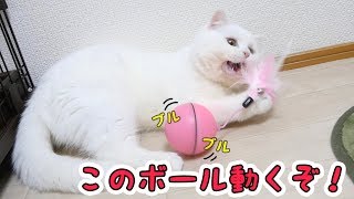動くボールに猫パンチを連打する猫