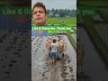 కన్నతల్లికి విషం పెడుతున్నామా? #shorts #Telugu # #farming #agriculture #paddy #motherlove #hardwork