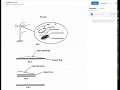 How to FIle a Provisional Patent Application with Examples