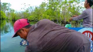 MANCING MANIA - PENGHUNI SUNGAI BENU (5/8/17) 3-1