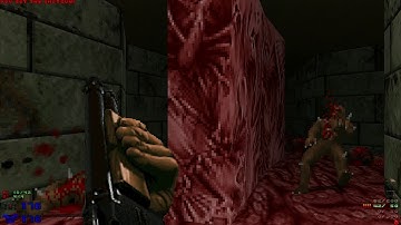 Doom: Sigil 1.2 - E5M2 Sheol - No Commentary All Secrets