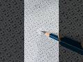 Wait for the END!!!😱satisfying art#art #drawing #satisfying #shorts #youtubeshorts