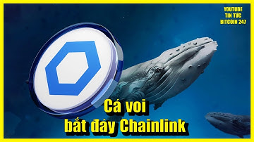 Cá voi tích cực bắt đáy Chainlink, NEO bị cáo buộc thao túng thị trường