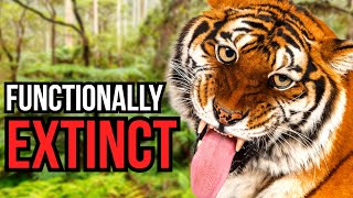 3 Animals That Are Functionally Extinct In Their Natural Habitat
