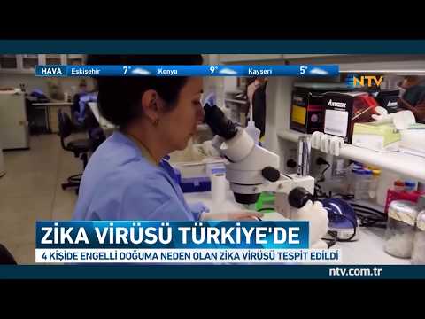 Zika virüsü tehdidi (Türkiye'de 4 kişide tespit edildi)