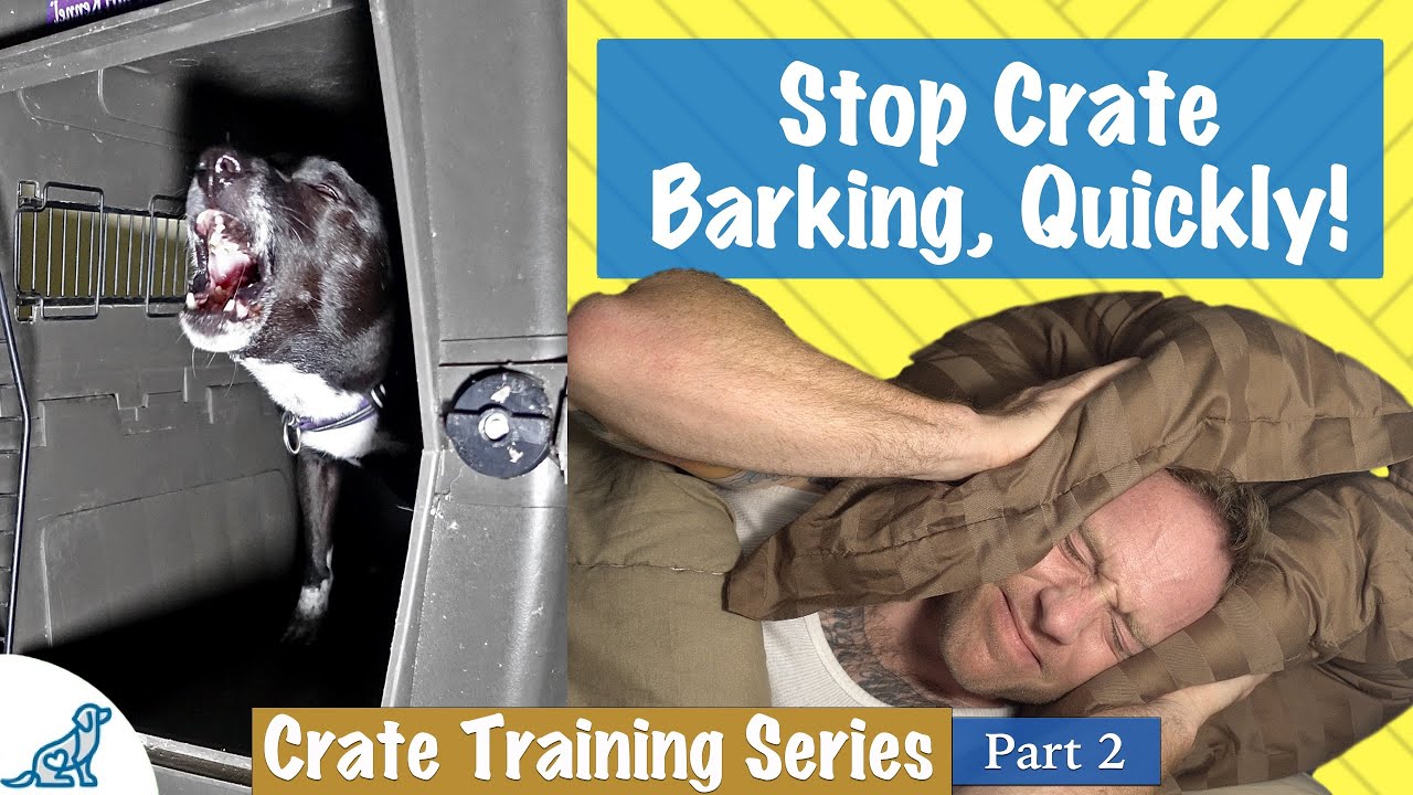 what to do when puppy barks in crate