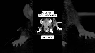 Rats Are Scarier Than You Think