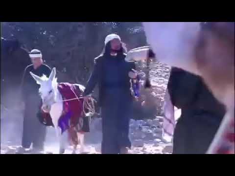 غليص مسوي حاله دواج