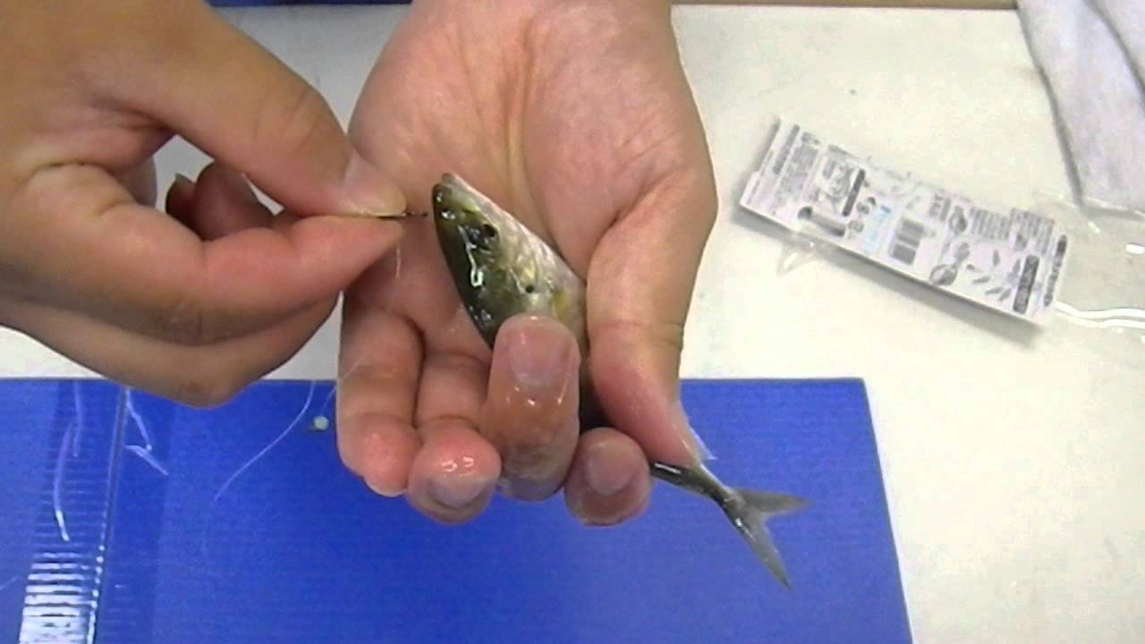 How To Make The Flounder Fishing Tackle Youtube