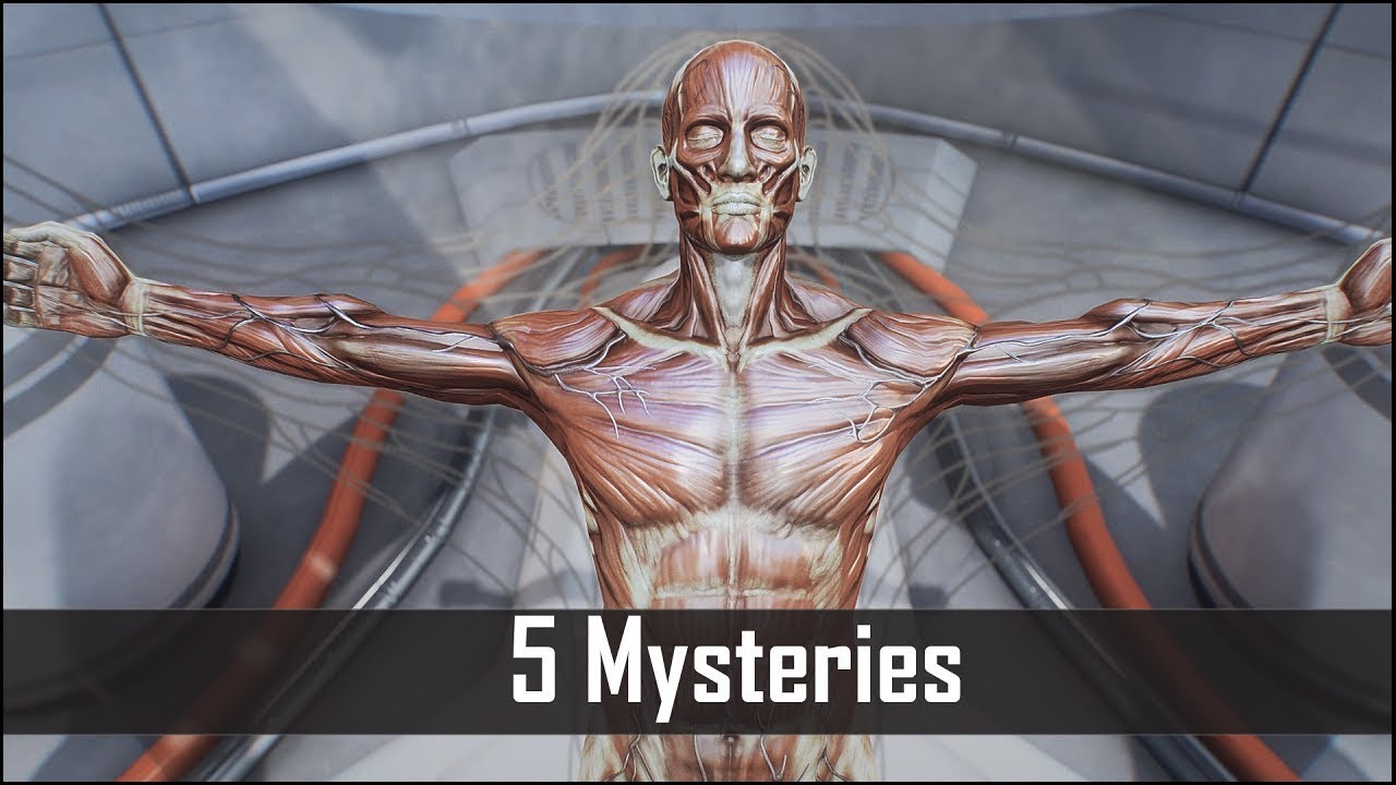 ⁣Fallout 4: 5 Spooky Mysteries You May Have Missed in the Commonwealth – Fallout 4 Secrets (Part 3)