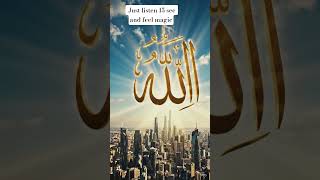 just listen 15 sec then feel magic of islam 🥰🥰🥰🥰 #shortvideo #islamicvideo #islamic #hadith