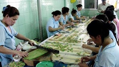 Tham quan cơ sở sản xuất Kẹo dừa và hủ tiếu trên Chợ Nôi Cái Răng