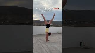 Muskelgleichgewicht ist wichtig⚖️ #lsit #handstand