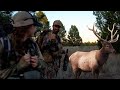 Bowhunting Montana Elk | Pure Hunting S9 E12