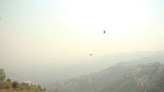 Nepali Chara Akasma Uddai