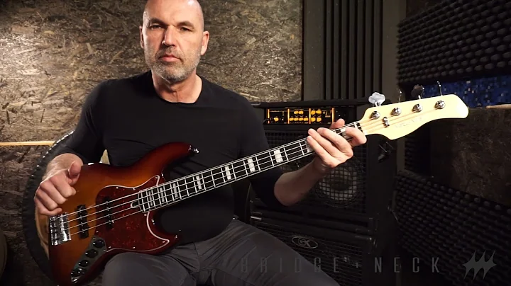 Martin Macek - Jazz Bass Classic 60s, AlNiCo 5, 7,...