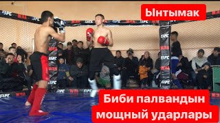 Билал палвандын мощный ударлары. Ынтымак сила🦁