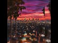 Sunset Hunter - I can't say it
