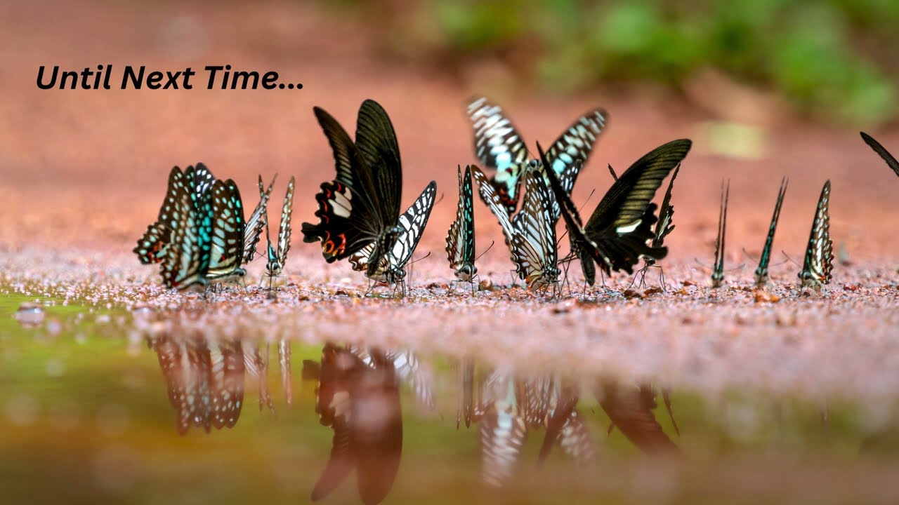 The Long Standing Truth Part 110