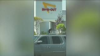 Suspect identified in deadly shooting at Idaho In-N-Out