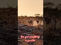 For God Everything is possible| Ghodke Sandeep #motivation #chasingfinancialfreedom #quotes #lion