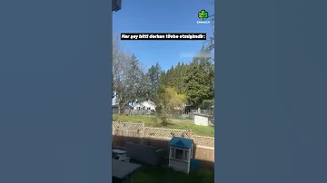Her Şey Bitti Derken 