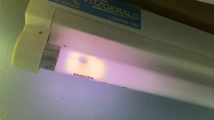 8w T5 Fluorescent Tube EOL Flashing - Philips