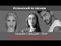 Разбор песни SHAKIRA Y MALUMA  "Trap" // Испанский по песням