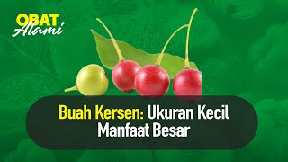 Buah Kersen untuk Kontrol Gula Darah | Nutrisi Alami