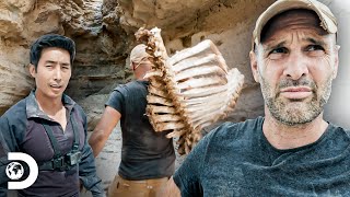 Construye una escalera con osamentas de animales |Ed Stafford: Contra Todos |Discovery Latinoamérica