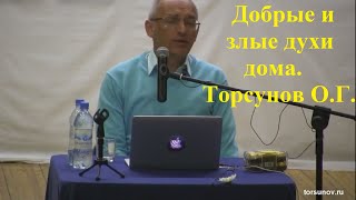 Добрые и злые духи дома. Торсунов О.Г.