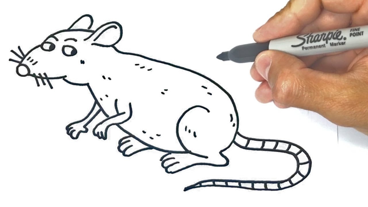 Share more than 146 rat drawing for kids