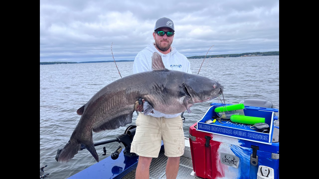 ALPHABOARDZ - intro with former NC state Blue Cat record holder Zakk Royce.