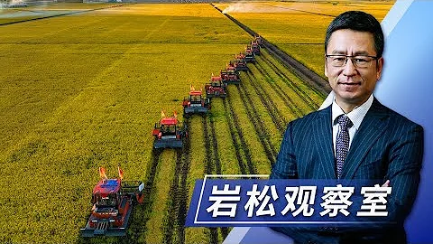 2023年中央一号文件说了啥？有哪些亮点？要点速览来了！| CCTV“新闻1+1”20230213 - 天天要闻