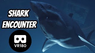 Shark Encounter Playstation VR Worlds VR180 screenshot 5