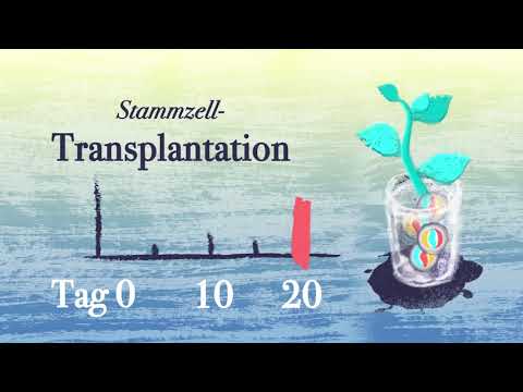 Video: Wie lange dauert es, bis eine Knochenmarktransplantation eingepflanzt wird?