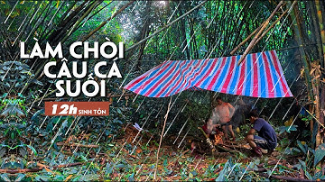 Thử thách CÂU CÁ SUỐI rừng, làm chòi, nấu ăn trong rừng mưa nhiệt đới | forest stream fishing