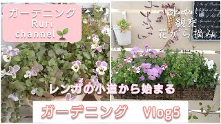 【ガーデニング　Gardening　Vlog5】   レンガの小道から始まるブイログ　お庭の様子　コアラビオラ　ローズマリー #ガーデニング #Vlog　#水やり　#レンガの小道