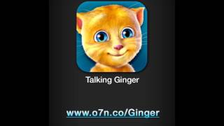 Talking Ginger screenshot 5