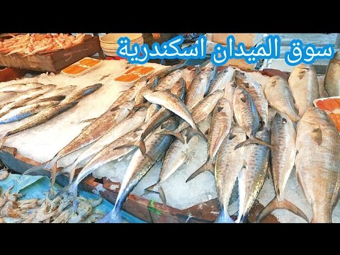سوق الميدان اسكندرية واسعار السمك بحر وبلطي وبوري وبطارخ جولة في المنشية