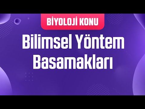 Bilimsel Yöntem Basamakları : Hipotez , Teori , Kanun , Deneyler