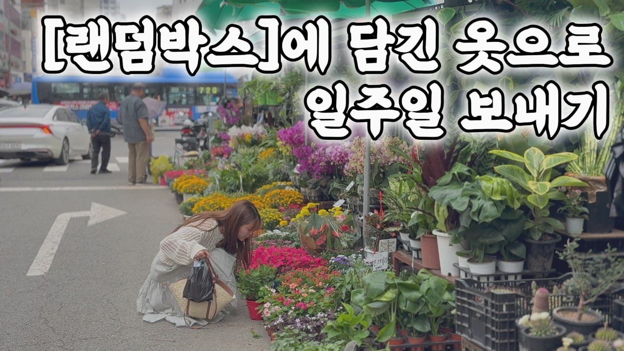 랜덤박스 옷으로 일주일 보내기, 종로 꽃시장 방문, 문래 디저트 카페, ZARA매장 가을 옷 피팅하기