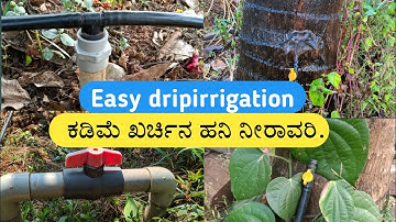 dripirrigation in easy method |ಸುಲಭ ವಿಧಾನದಲ್ಲಿ ಹನಿ ನೀರಾವರಿ  | dripirrigation in coconut tree |