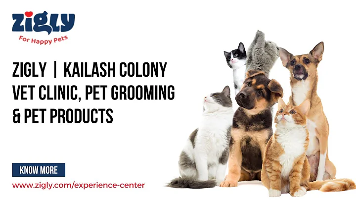 Zigly  Kailash Colony Vet Clinic, Pet Grooming & Pet Products - Pet Shop New Delhi, DL | Vet Clinic