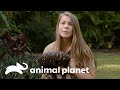 Bindi mostra o amor dela por equidnas | A Família Irwin | Animal Planet Brasil