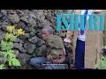 Ishuri By Mugabire Ft Manirumva Official Music Video 4k 2026 