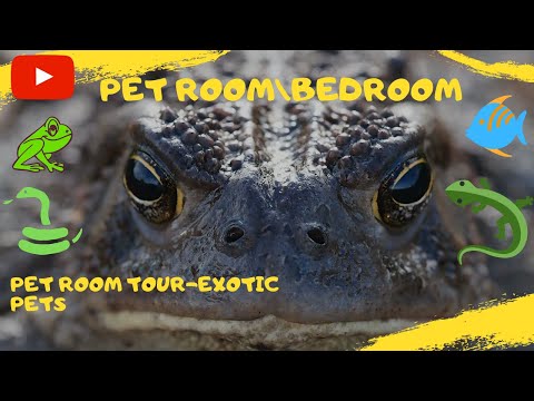 Various ways to Present Wacky Rigs for Bass Fishing from YouTube · Duration: 1 minutes 1 seconds Various ways to Present Wacky Rigs for Bass Fishing from YouTube · Duration: 1 minutes 1 seconds