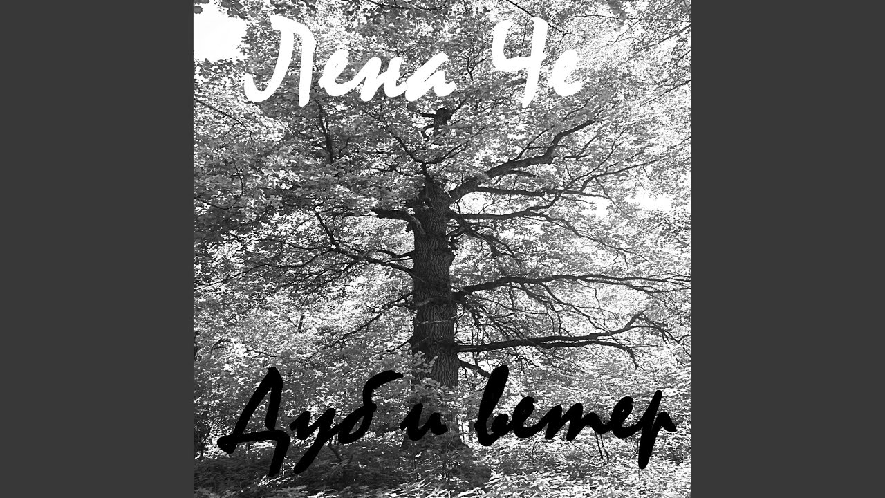 Дуб и ветер - YouTube